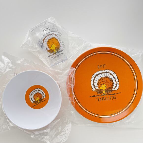 Pottery Barn Woodstock Peanuts Plate Bowl Cup Set - Thanksgiving Turkey Snoopy - Picture 7 of 7